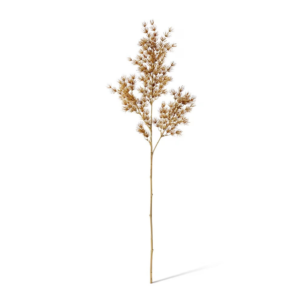 Apsparagus Leaf Spray