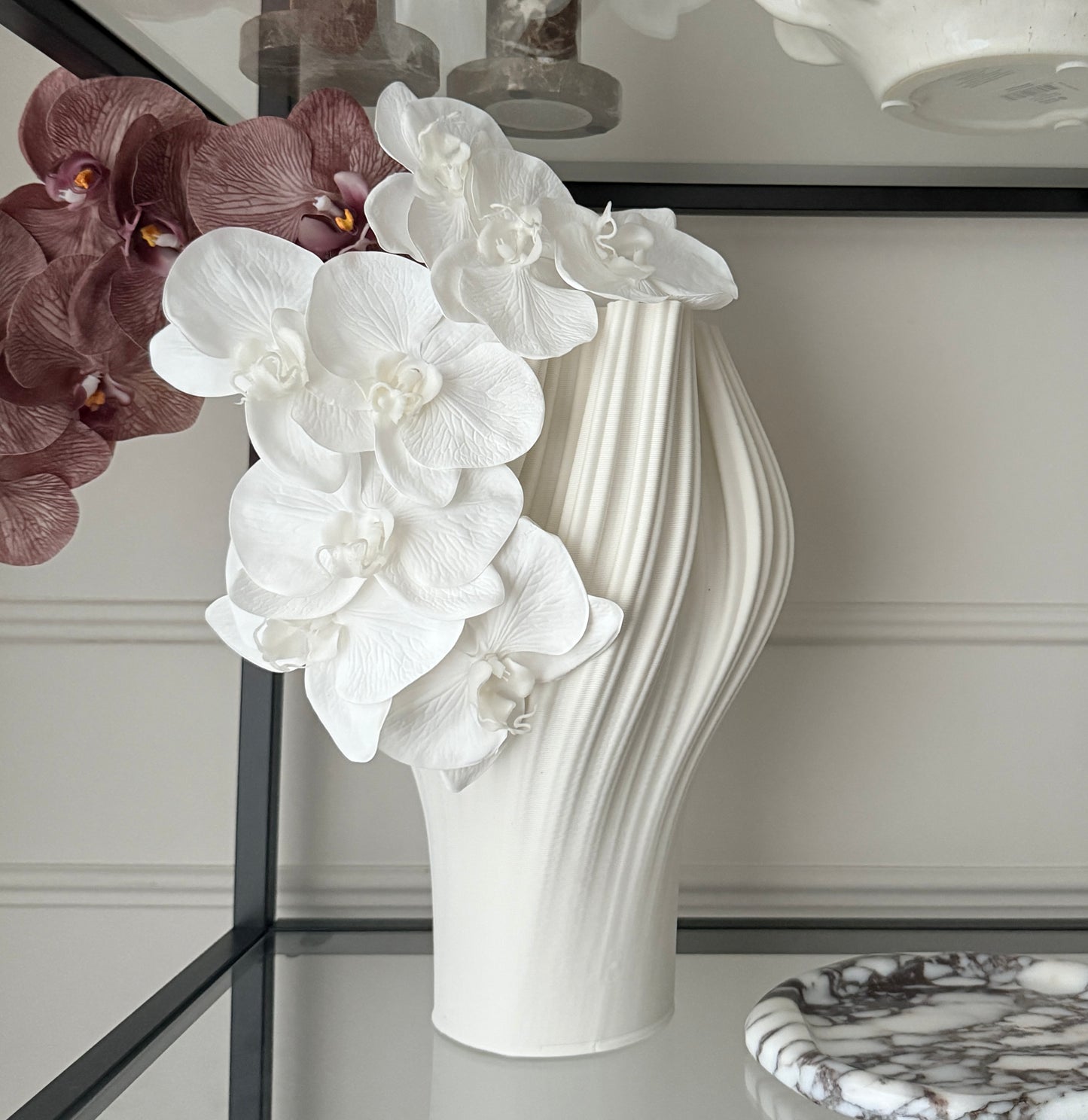 Phalaenopsis Orchid Stem White