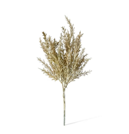 Astilbe Bush Natural 39cm
