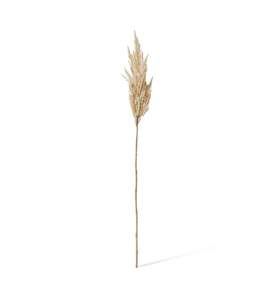 Pampas Grass Stem 83cm
