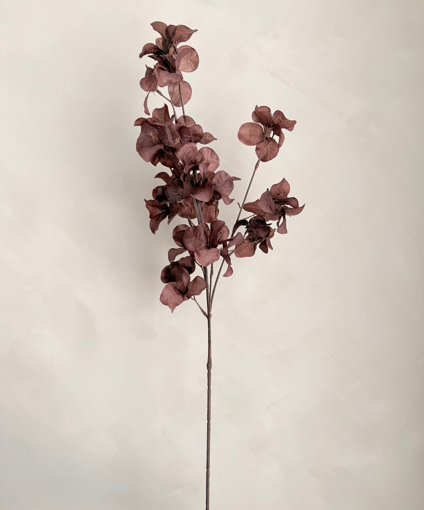 Burgundy Bougainvillea Spray