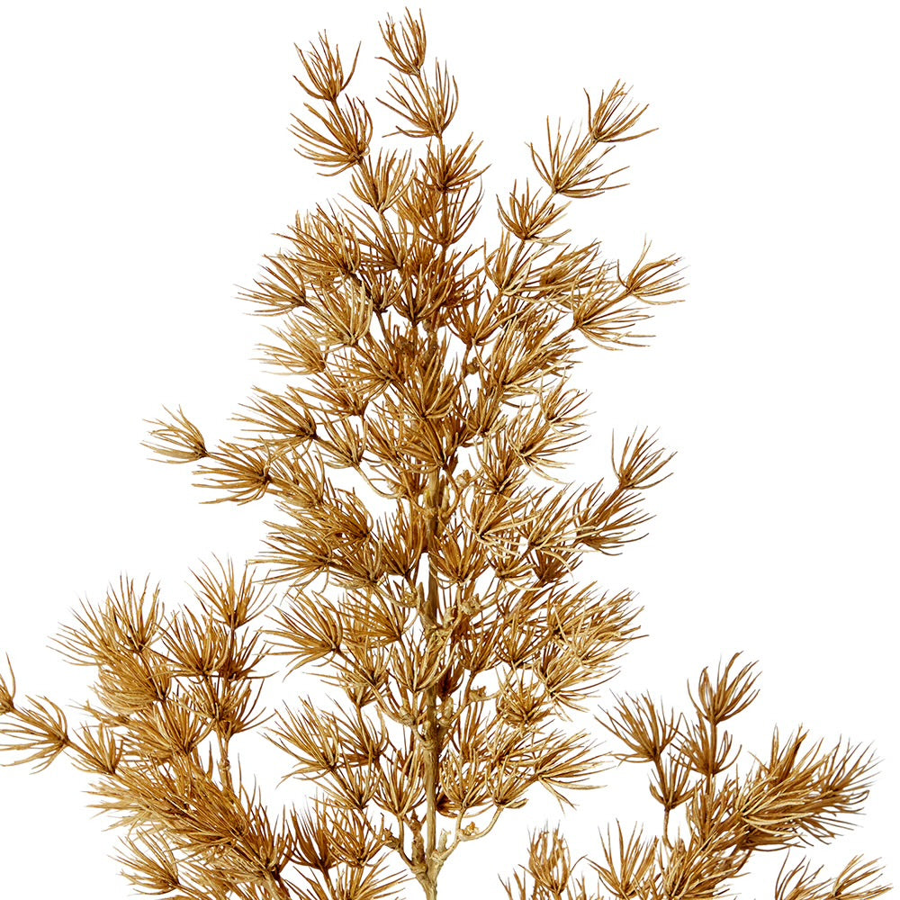 Apsparagus Leaf Spray