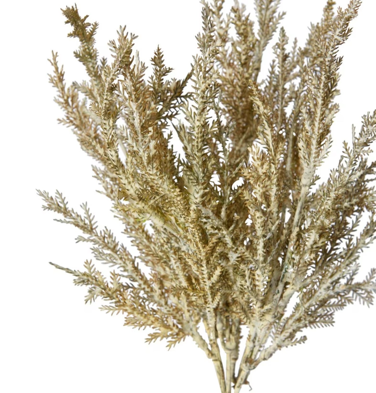 Astilbe Bush Natural 39cm