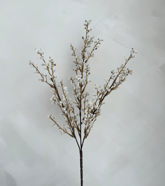 Willow Mini Bush Beige