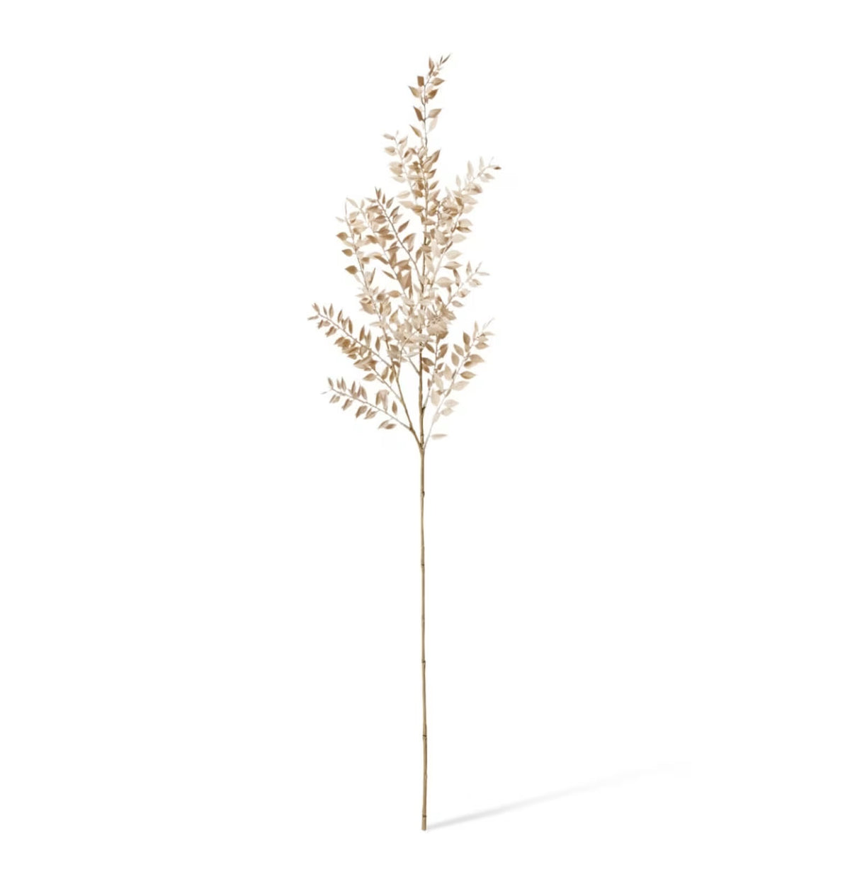 Ruscus Deco Spray