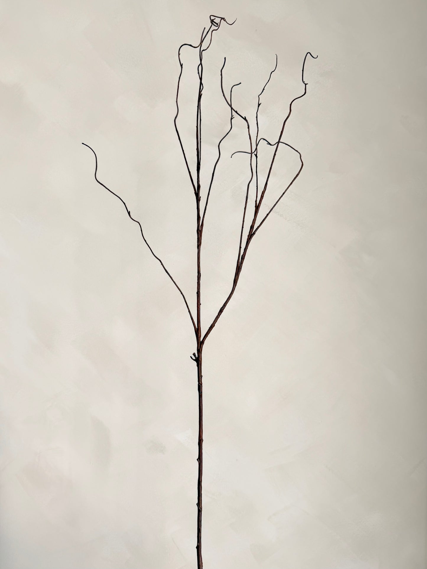 Twigsy Willow Spray