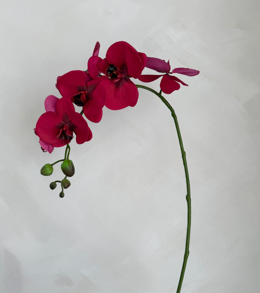 Fuchsia Phalaenopsis Spray