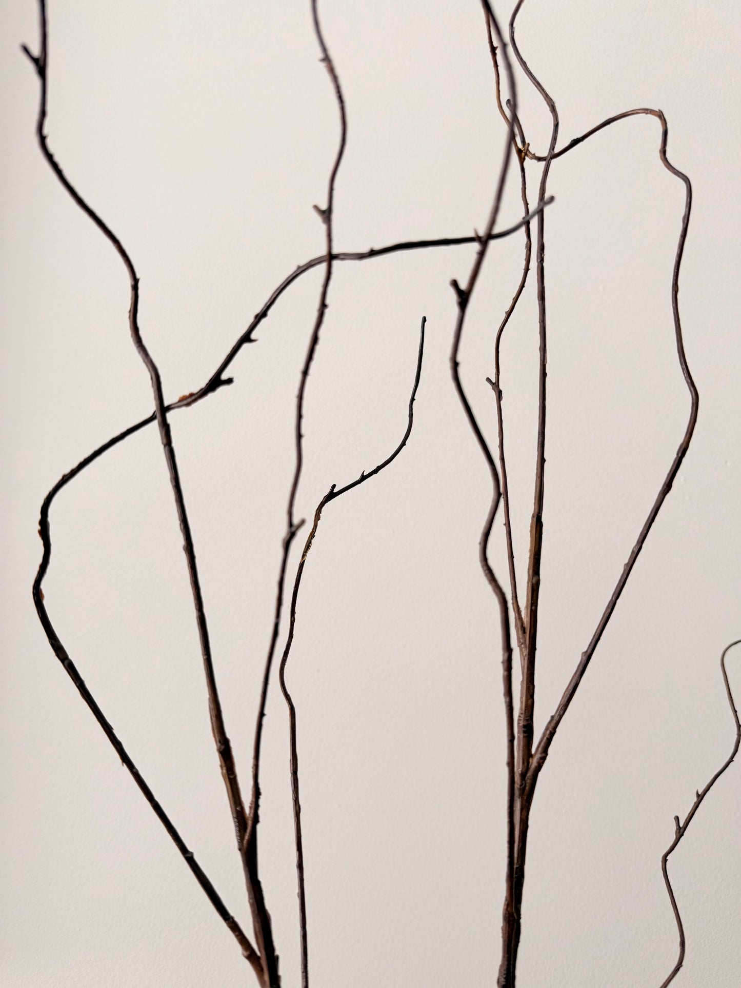 Twigsy Willow Spray