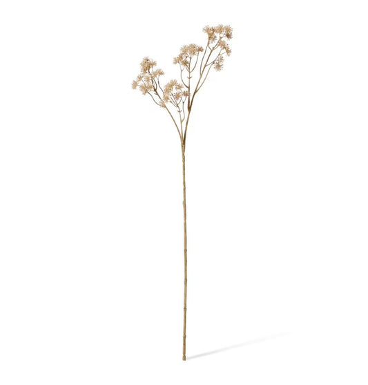 Aralia Deco Seed Spray