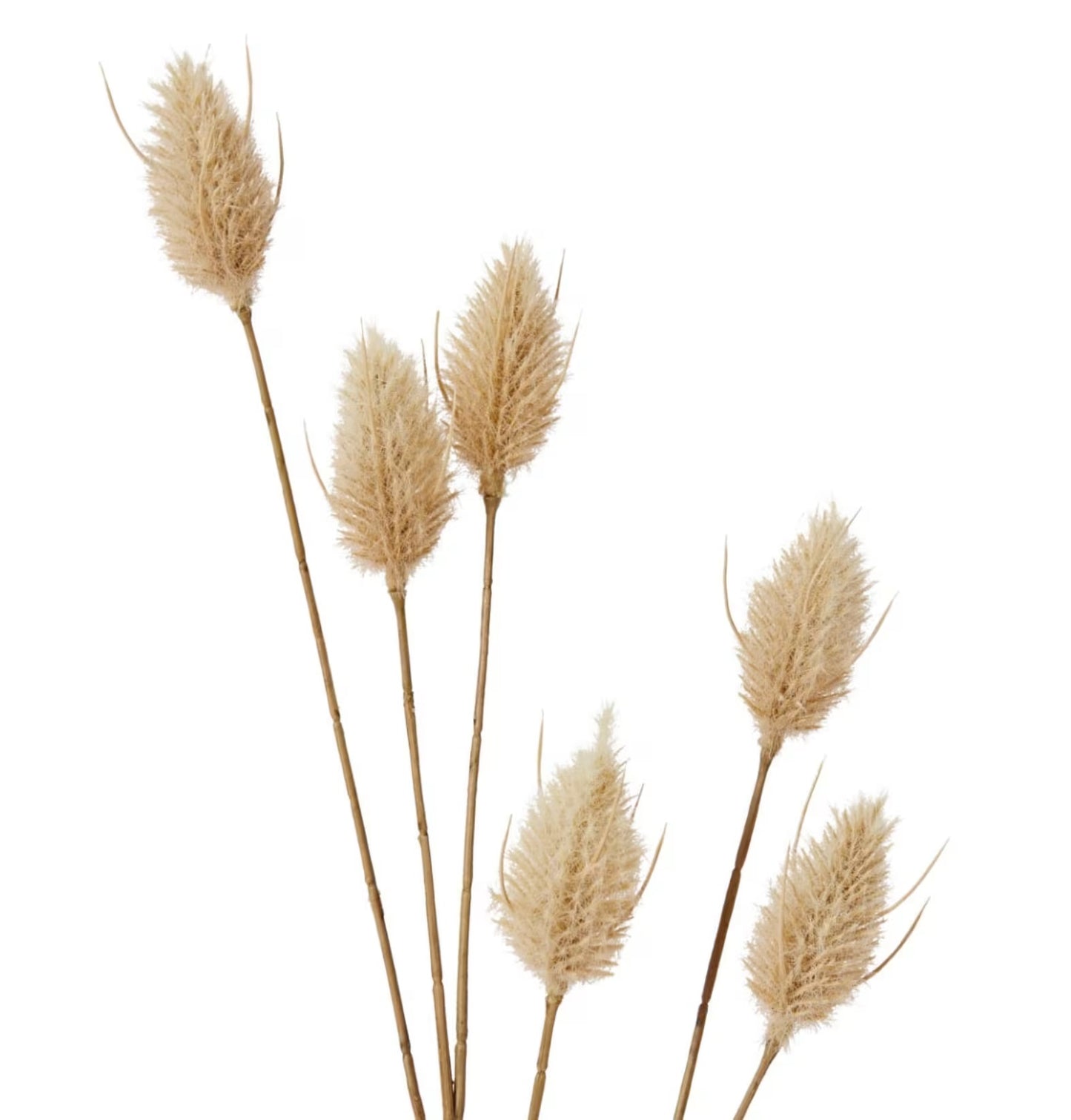 Bunny Tail Spray Beige