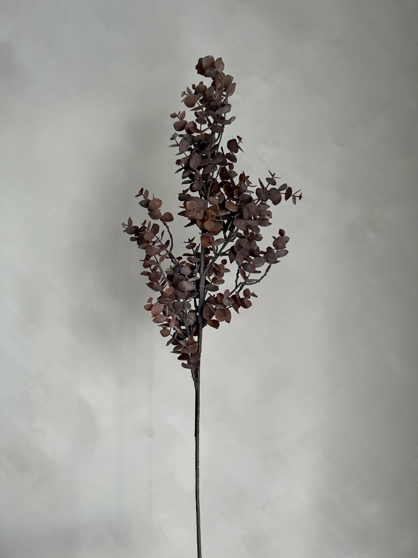 Brown Faux Eucalyptus Branch
