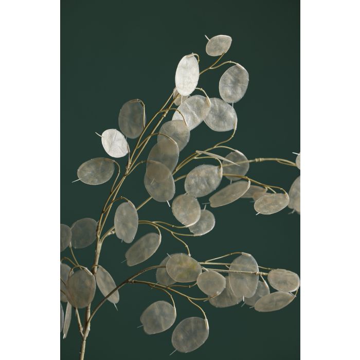 Silver Dollar Spray