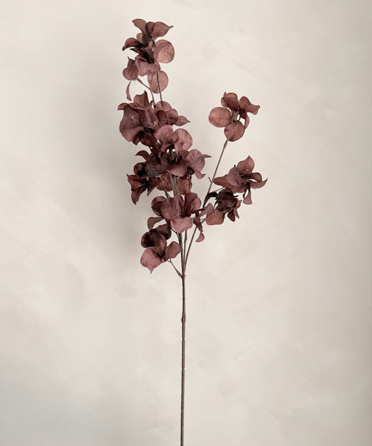 Burgundy Bougainvillea Spray