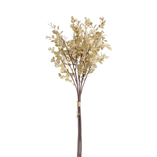 Cream Eucalyptus Bundle