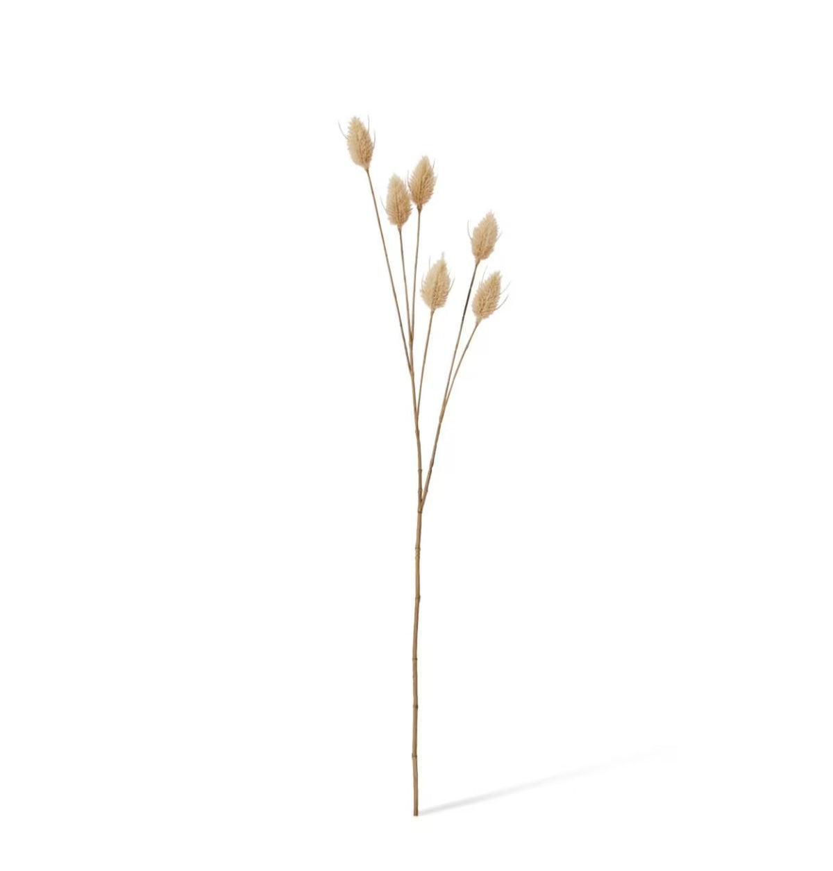 Bunny Tail Spray Beige