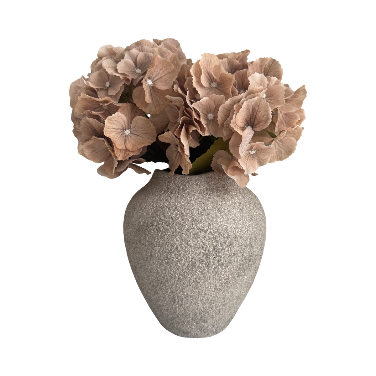 Hydrangea Stem Coffee