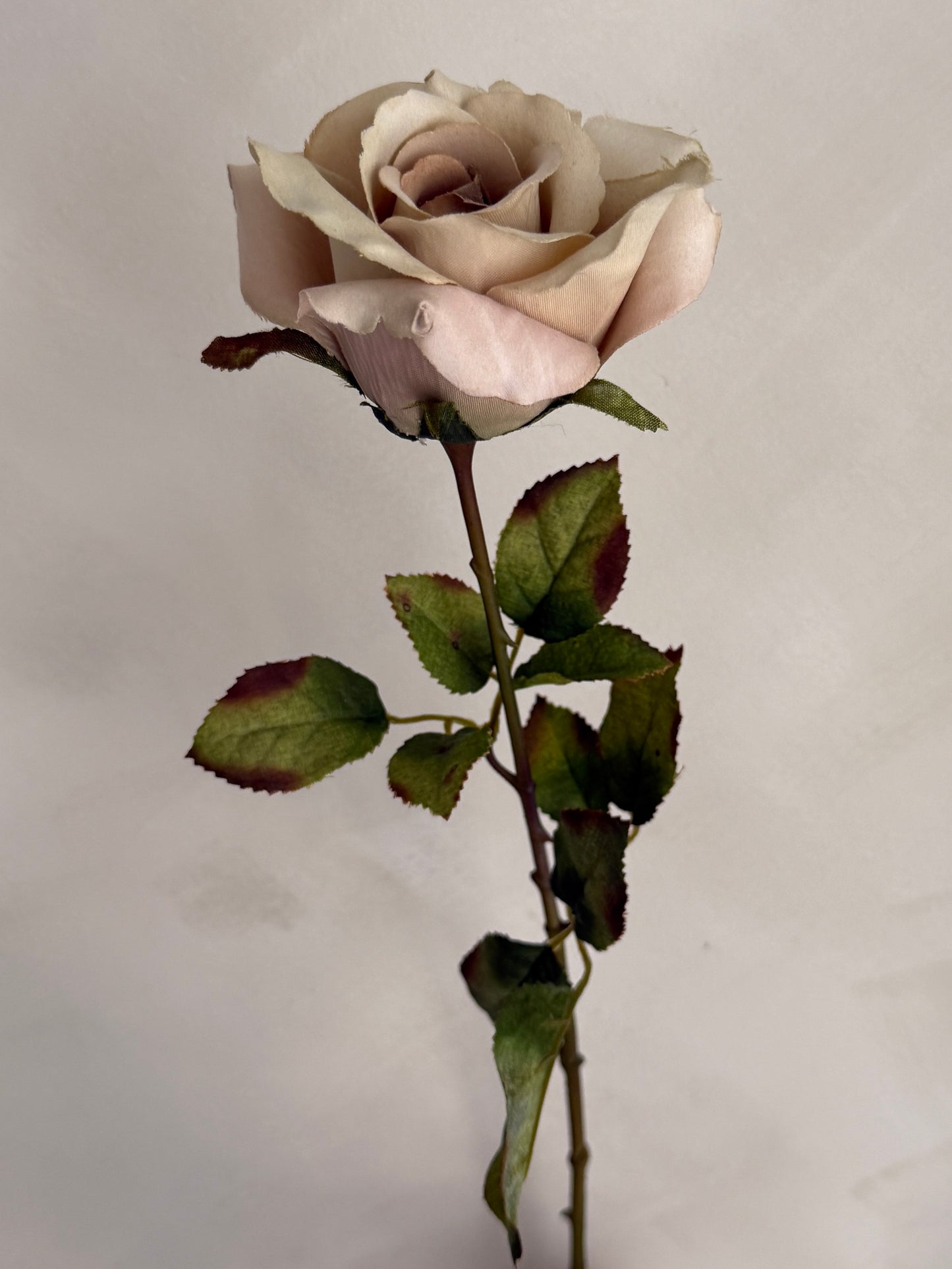 Dusty Pink Faux Rose Stem