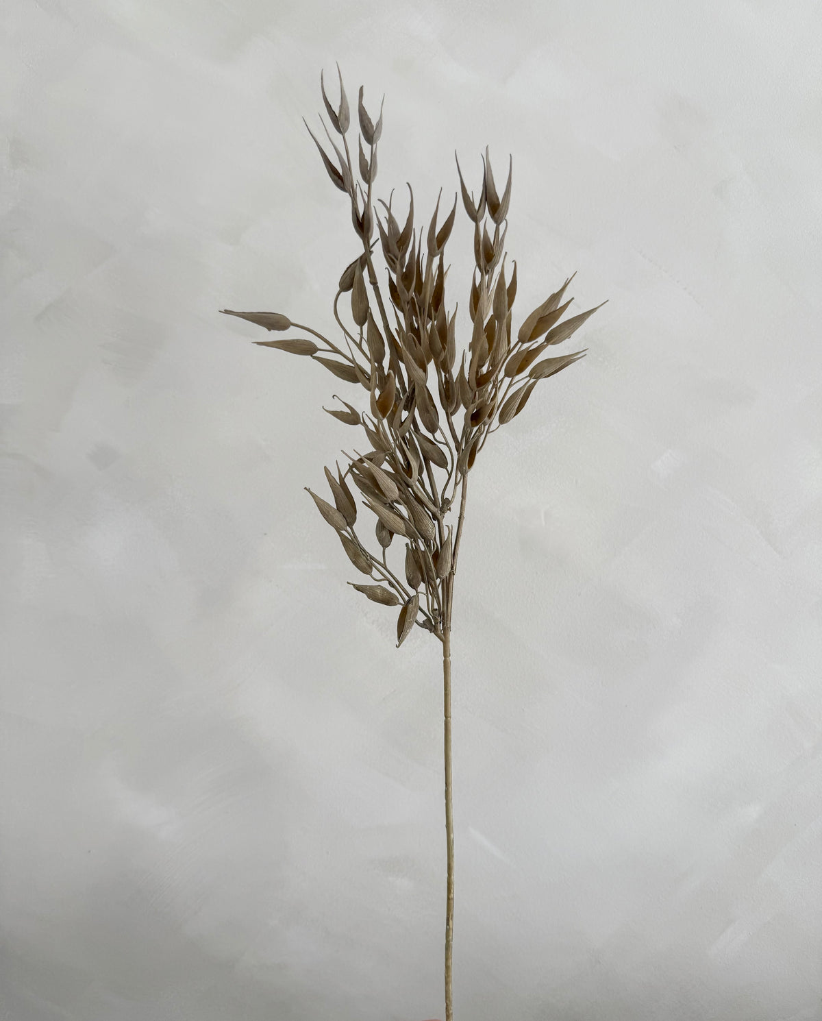 Wheat Faux Spray
