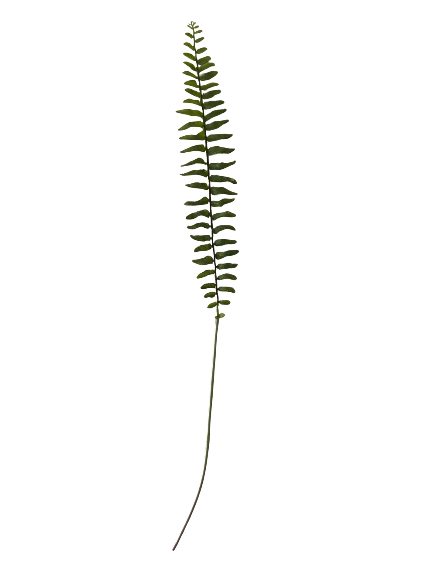 Faux Fern Stem