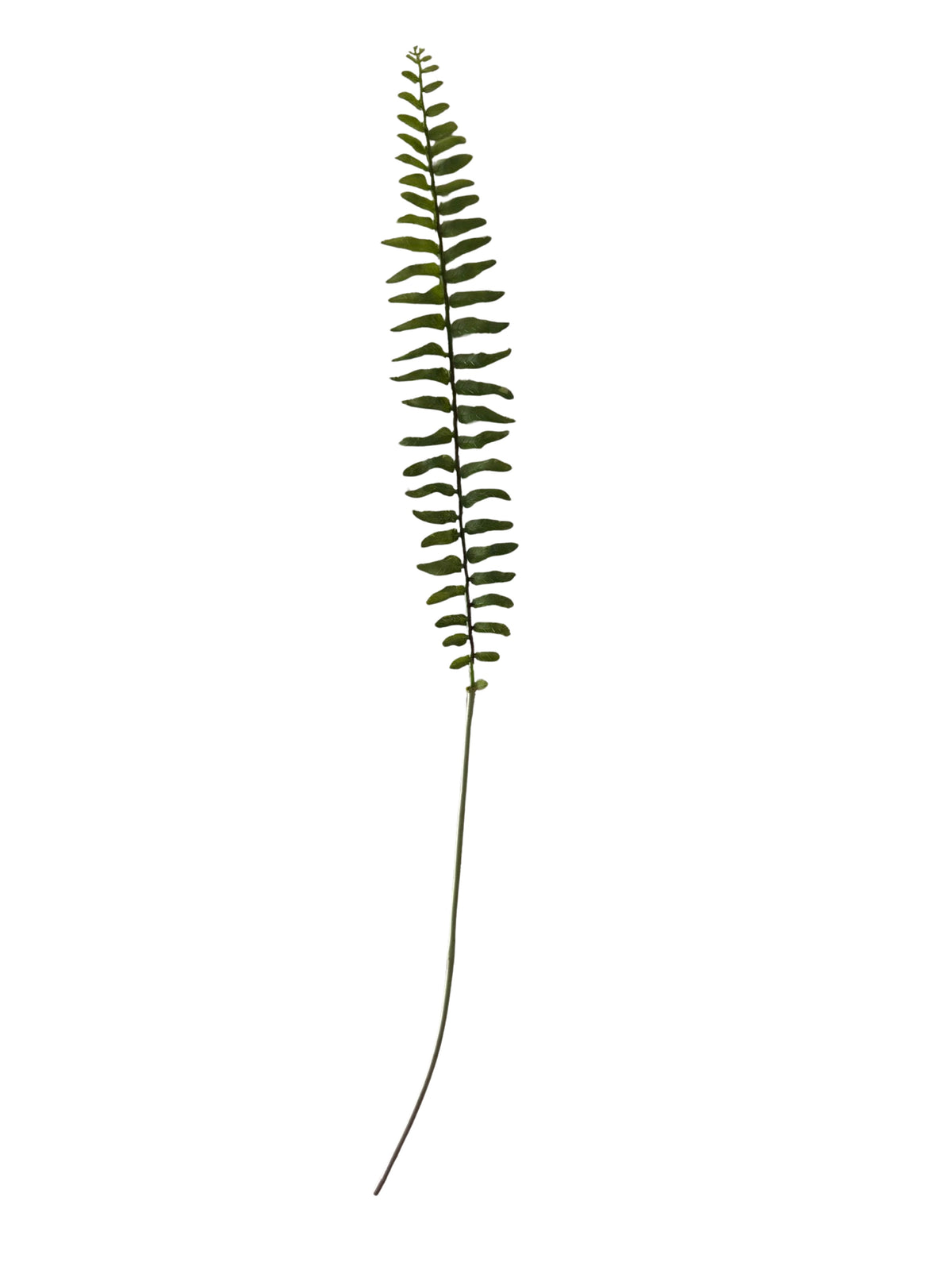 Faux Fern Stem