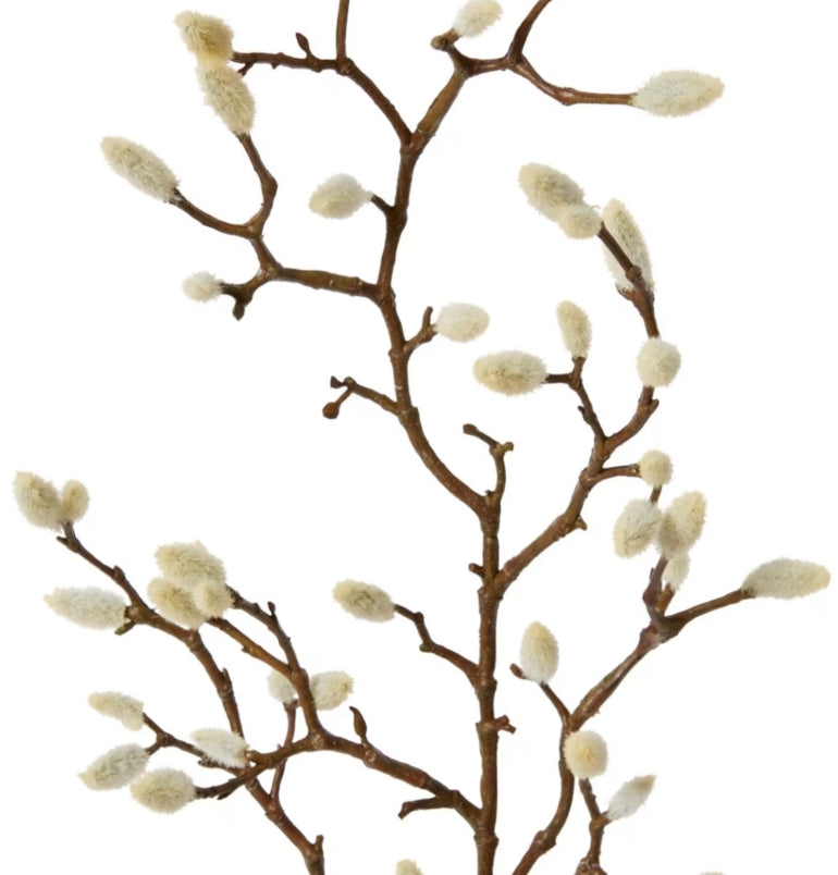 Magnolia Bud Spray